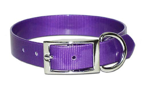 Omnipet Sunglo Ring-in-Center Dog Collar