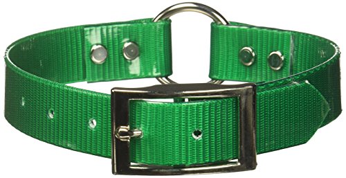 Omnipet Sunglo Ring-in-Center Dog Collar