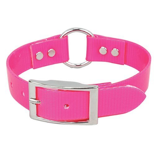 Omnipet Sunglo Ring-in-Center Dog Collar