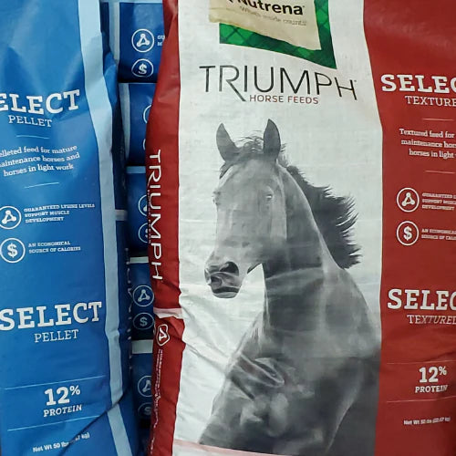 Bags of horse feed with bold designs. The central bag, labeled 