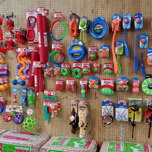 A pegboard wall displays colorful pet toys including balls, ropes, and frisbees. The vibrant arrangement conveys a playful, lively atmosphere.