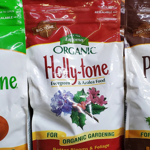 Red and white package of Espoma Organic Holly-tone, an evergreen and azalea food. Includes images of holly leaves and flowers. Text emphasizes organic use.