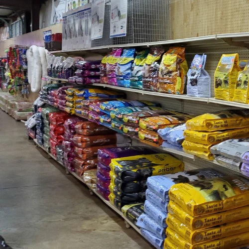A store aisle filled with colorful bags of pet food stacked on shelves. The floor is concrete, and there are various pet accessories to the left.