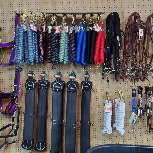 A pegboard displays colorful horse lead ropes, black and brown leather reins, and sturdy girths. The setting is an organized tack shop wall.