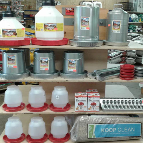 Store display with various poultry supplies. Top shelves hold metal feeders and waterers, and lower shelves have plastic drinkers, bulb boxes, and bedding.