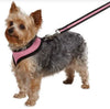 Casual Canine Mesh Dog Harness