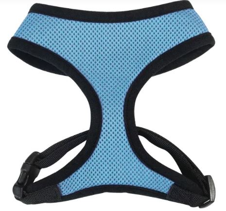 Casual Canine Mesh Dog Harness