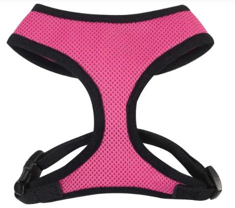 Casual Canine Mesh Dog Harness