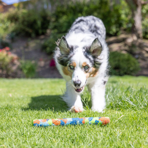 Petmate Chuckit! EcoFetch Recycled Rubber Fetch Stick Dog Toy