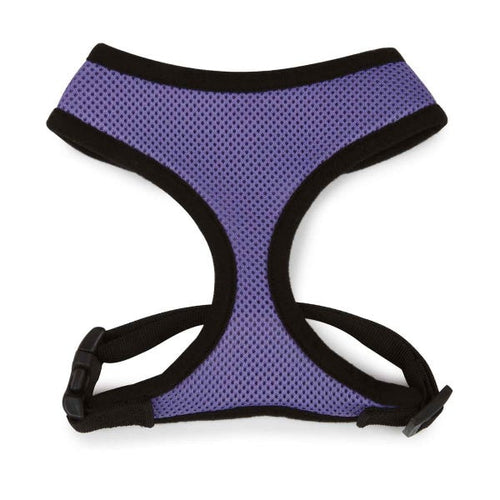 Casual Canine Mesh Dog Harness