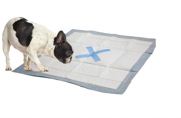 Ethical Pet X Marks the Spot  Puppy Pad (22' X 22' 30/Pkg 30 Ct)