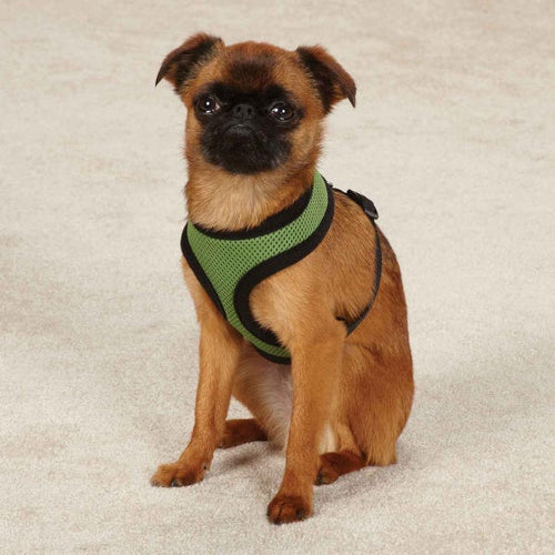 Casual Canine® Dog Mesh Harness